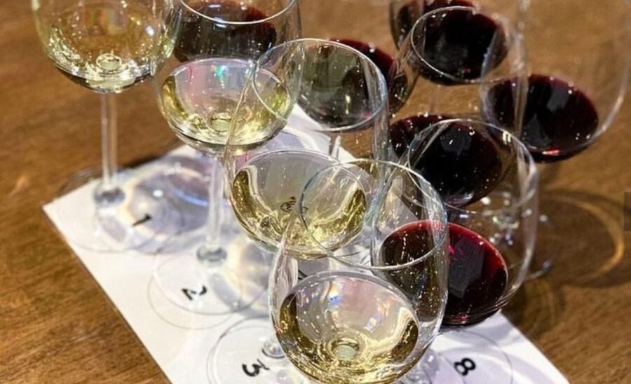 Stellenbosch: Half-Day Wine Tour - Who should book this Stellenbosch outing?