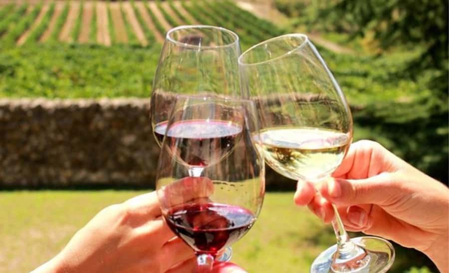 Stellenbosch: Half-Day Wine Tour - The 45-minute ride into the Winelands