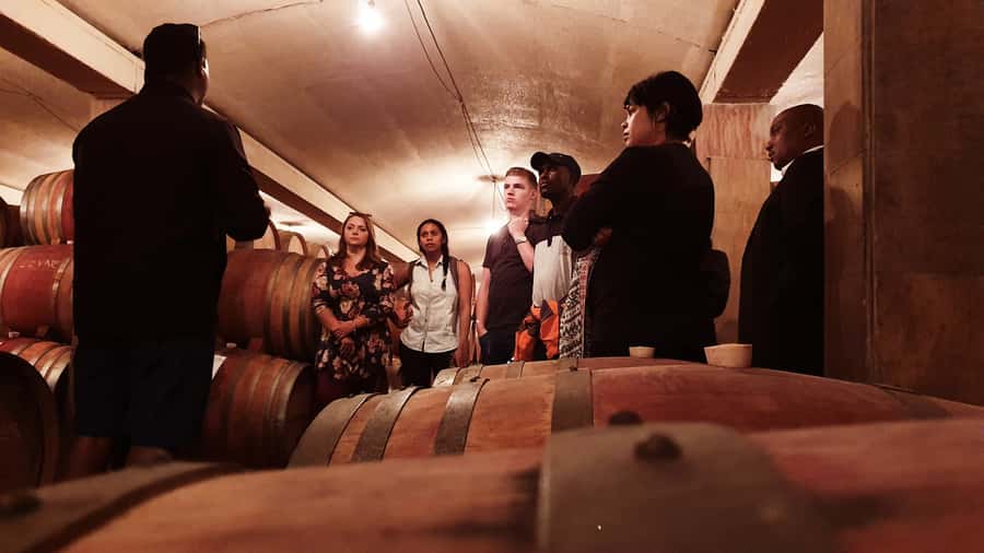 Stellenbosch: Historical Bike Tour & Wine Tasting - The ride: scenic, manageable, but not flat