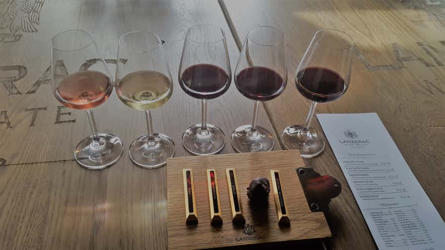 Stellenbosch: Historical Bike Tour & Wine Tasting - Who should book this Stellenbosch bike tour?