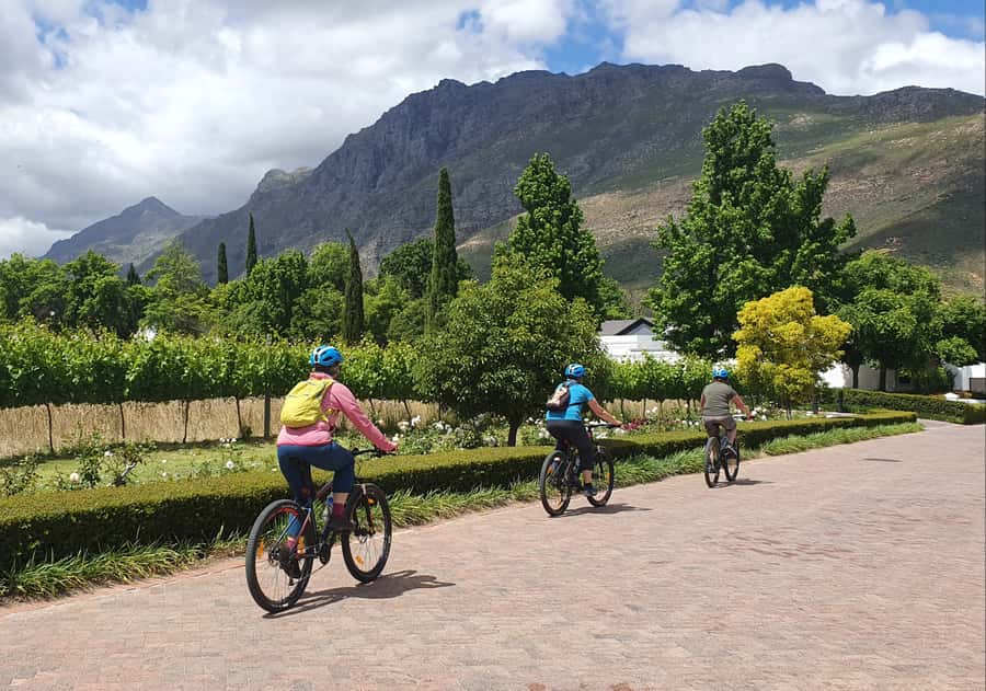 Stellenbosch: Historical Bike Tour & Wine Tasting - Should you book it?