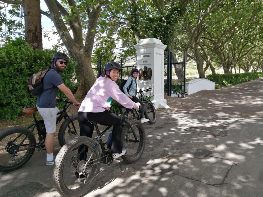 Stellenbosch: Wine Farm E-Bike Guided Tour - Getting comfortable on the e-bike