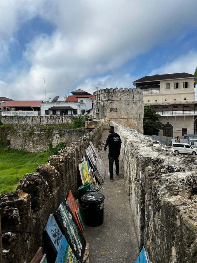 Stone Town's Hidden History: Private Guided Walking Tour - Stone Town in one compact walk