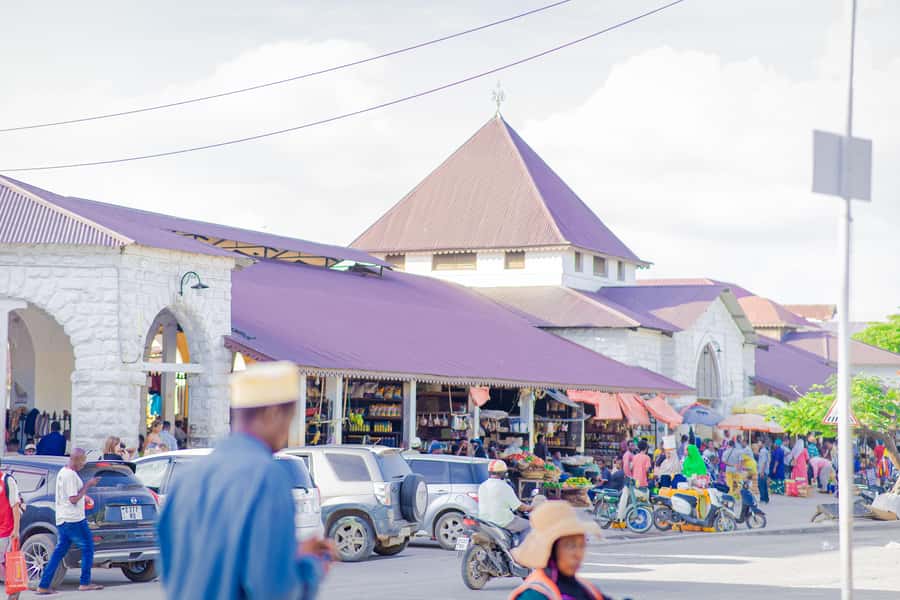 Stone Town's Hidden History: Private Guided Walking Tour - Darajani Bazaar and the everyday market streets