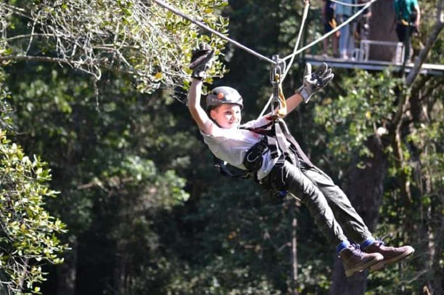 Storms River: Tsitsikamma National Park Zipline Canopy Tour - Why this forest zipline feels different