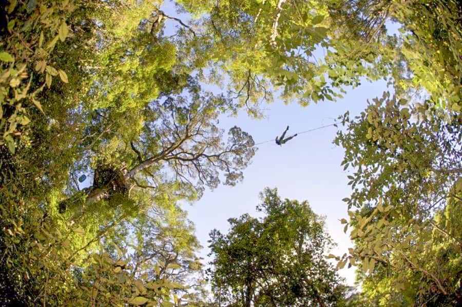 Storms River: Tsitsikamma National Park Zipline Canopy Tour - The walk after the final zipline