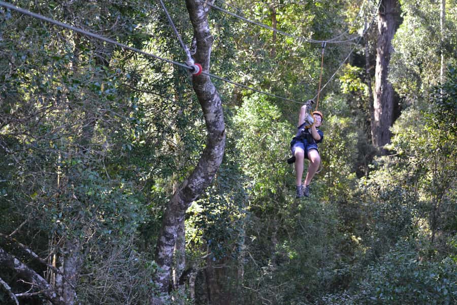 Storms River: Tsitsikamma National Park Zipline Canopy Tour - Who should book this activity?