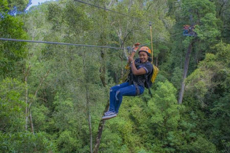 Storms River: Tsitsikamma National Park Zipline Canopy Tour - Practical planning for Storms River
