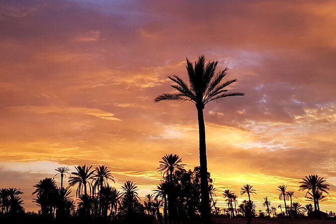 Sunset Camel Ride in Agadir or Taghazout With Transfers - From Agadir hotel to ranch in about 10 minutes