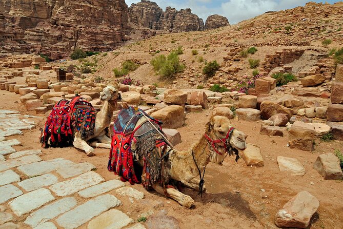Sunset Camel Ride in Agadir or Taghazout With Transfers - Sunset views, sunlight, and the best time to go