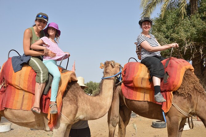 Sunset Camel Ride in Agadir or Taghazout With Transfers - Mint tea and the end of the ride