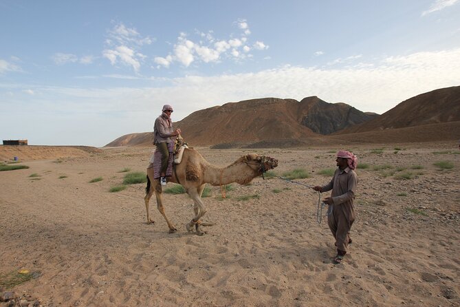Sunset Camel Ride in Agadir or Taghazout With Transfers - How the $17.68 price holds up