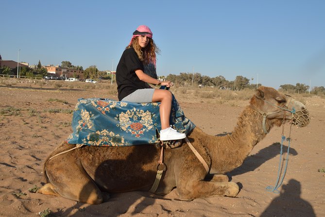 Sunset camel ride in Agadir with transport, tea and cakes. - Hotel pickup makes the evening easy