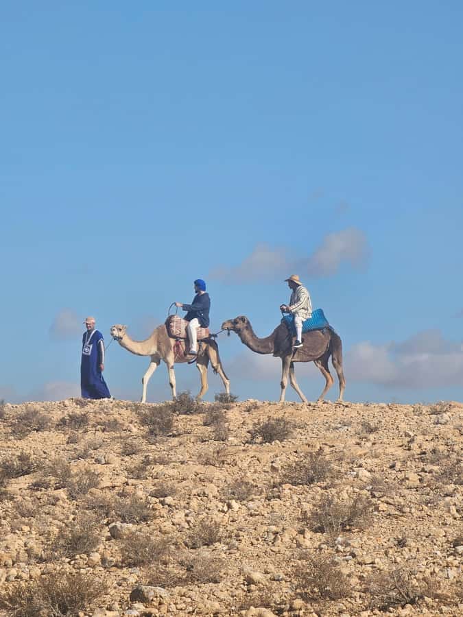 Sunset Camel Ride in Agafay Desert with dinner and pool - What the four-hour schedule feels like