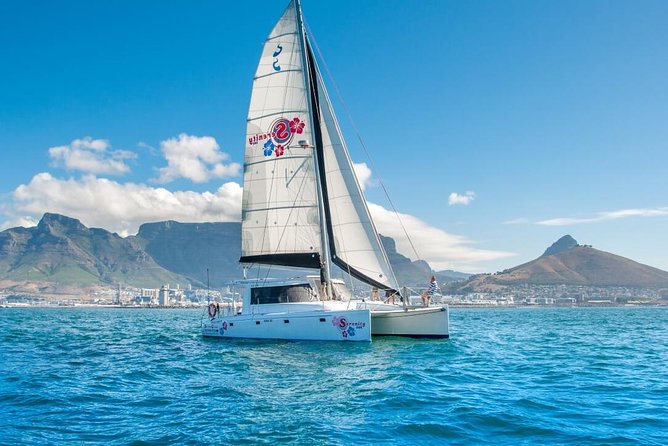 Sunset Champagne Cruise from Cape Town - Wildlife watching along the coast