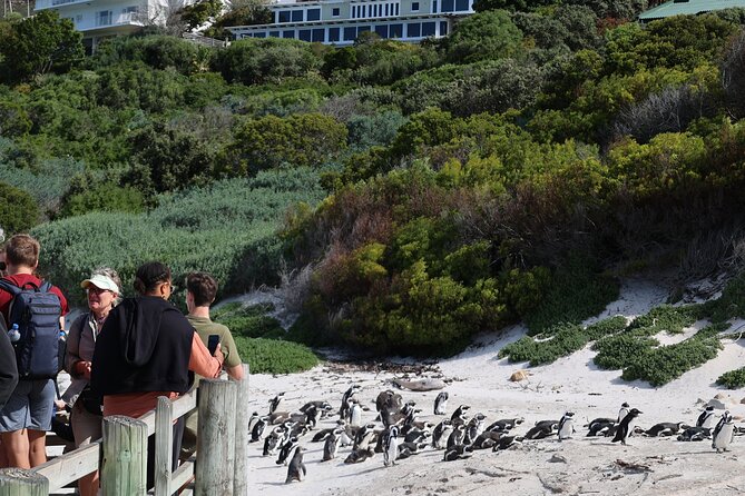 Supersaver: Cape of Good Hope and Cape Point Day Tour from Cape Town - Chapman’s Peak Drive and Noordhoek views