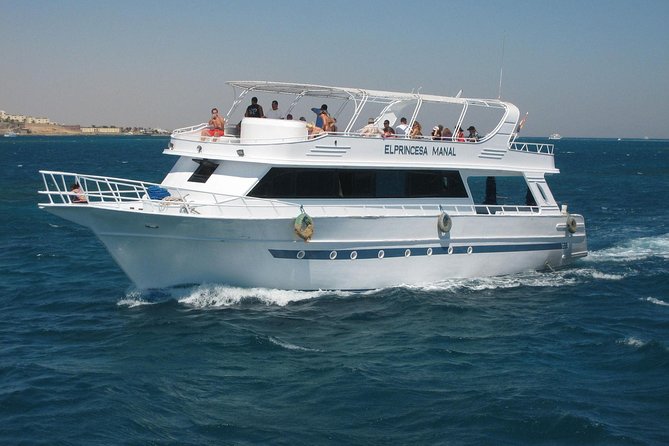 Swimming with Dolphin VIP Snorkeling Sea Trip With Lunch and Transfer - Hurghada - Transfers, extra costs, and group size