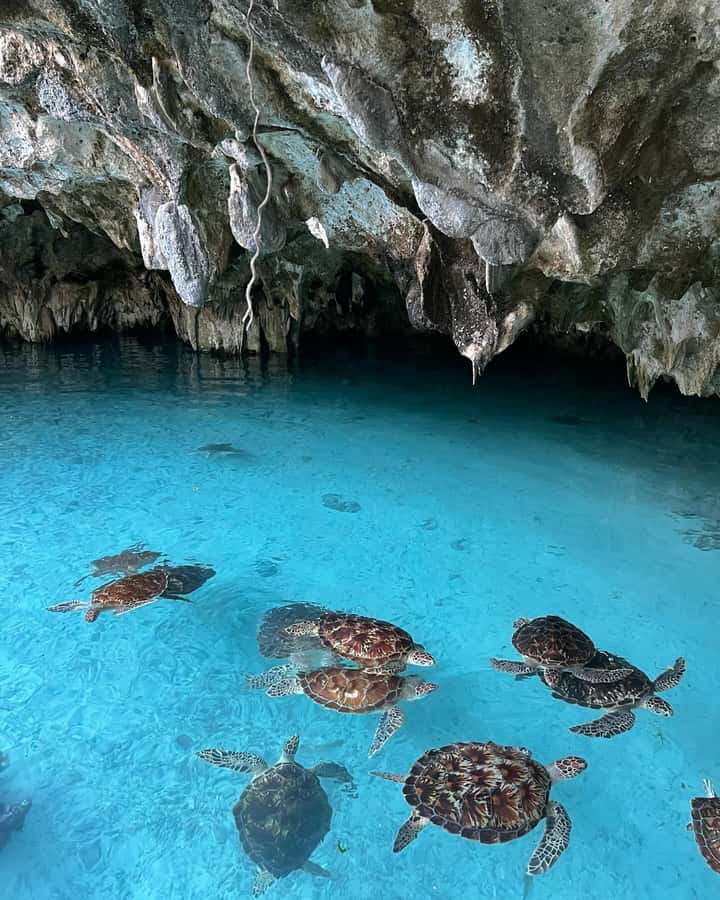 SWIMMING WITH TURTLES AT SALAAM CAVE AT KIZIMKAZI ZANZIBAR - Who Will Enjoy This Most?
