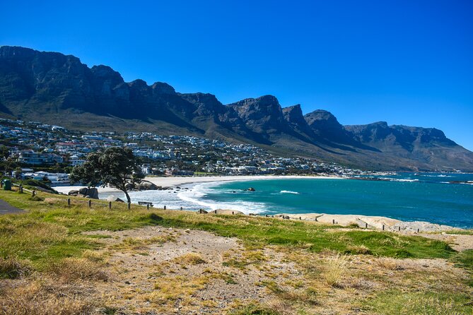 Table Mountain, Boulders Penguins & Cape point Private Day Tour - Table Mountain brings the big view