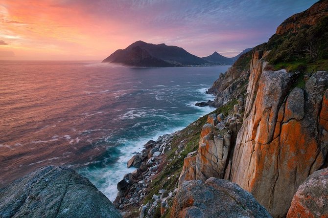 Table Mountain, Boulders Penguins & Cape point Private Day Tour - Chapmans Peak is the scenic road highlight