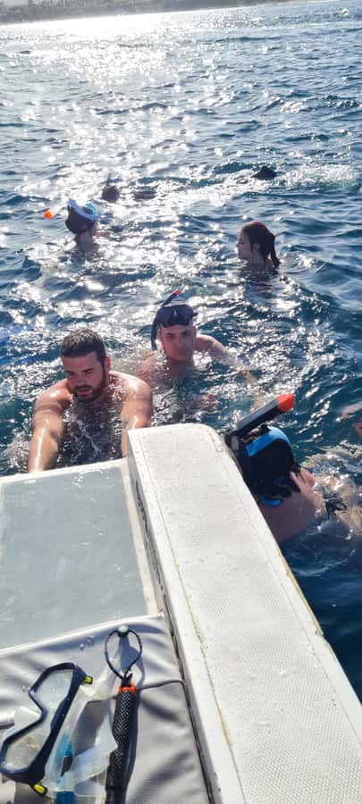 Tamarin: Dolphin Snorkel, CrystalRock, ile o Benitiers Lunch - Ile aux Benitiers barbecue lunch