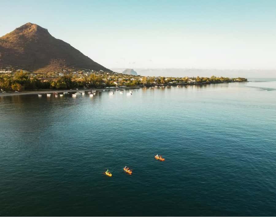 Tamarin: Guided Kayak Tour with Dolphins - Should you book the Tamarin dolphin kayak tour?