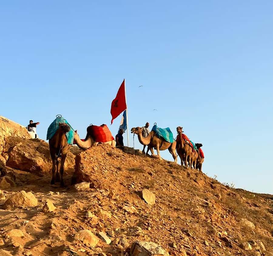 Tangier: Achakar Beach Sunset Camel Ride & Moroccan Dinner - Why This Sunset Tour Works So Well in Tangier