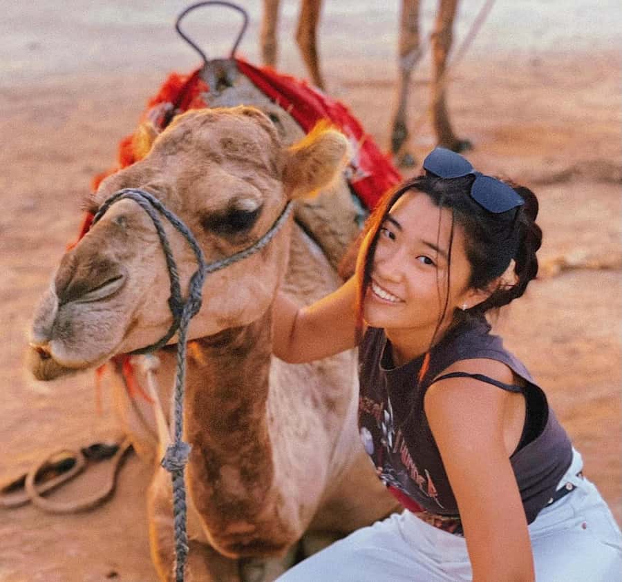 Tangier: Achakar Beach Sunset Camel Ride & Moroccan Dinner - Cap Spartel and Morocco’s Atlantic Edge