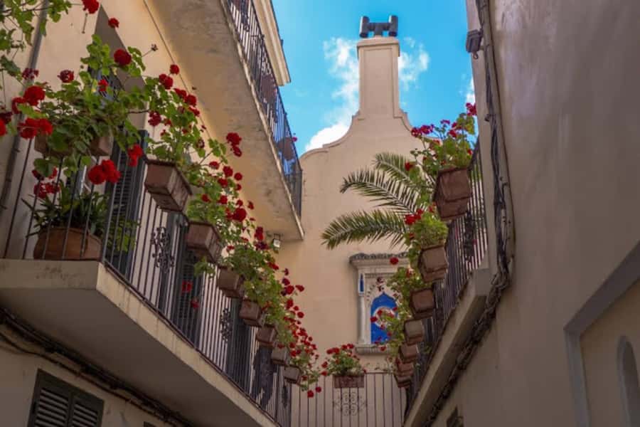 Tangier Half-Day Guided City Tour - Final verdict: a strong first look with a brisk pace