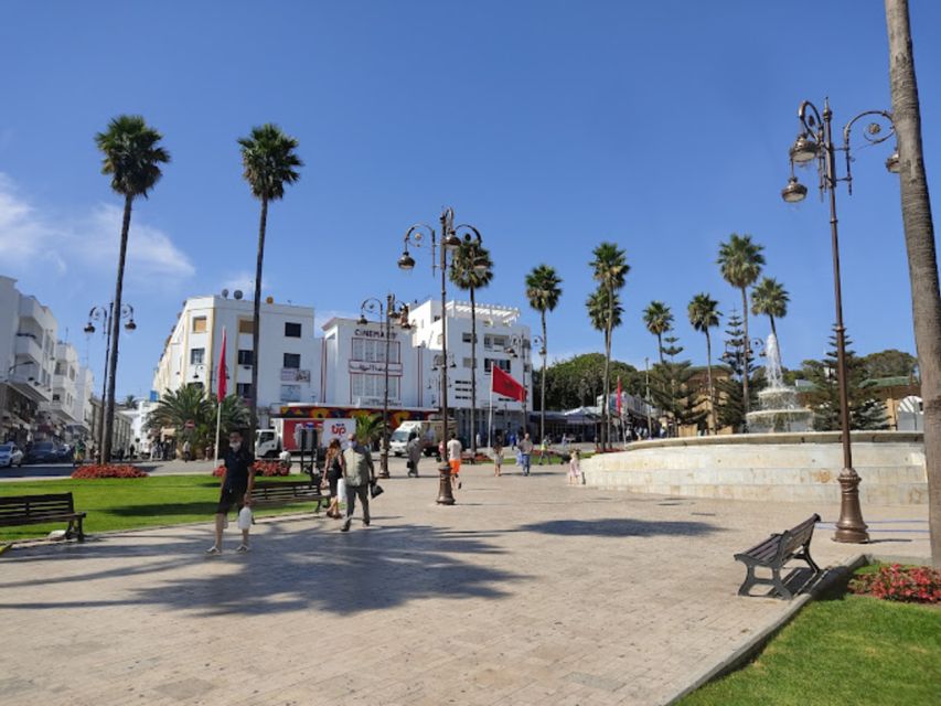 Tangier Half-Day Guided City Tour - What the vehicle portion adds