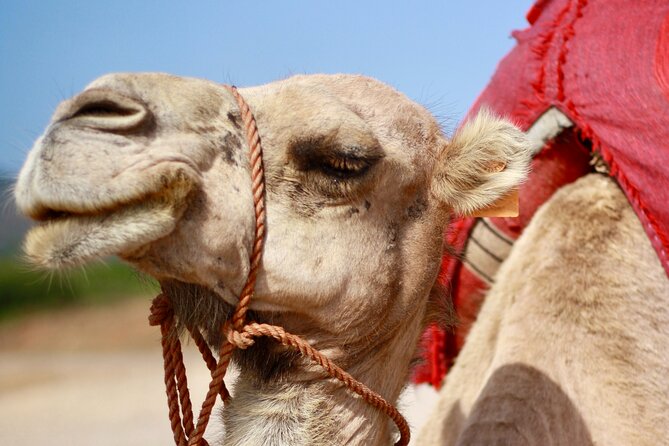 Tangier Private Customized Tours - Four Tangier sights in one well-planned route