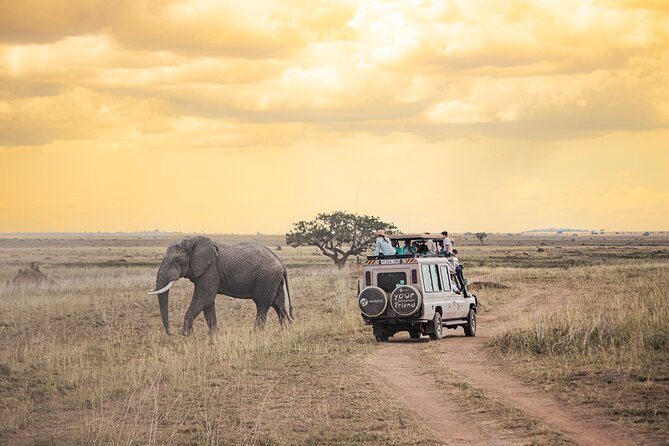 Tanzania Classic - 7 Days - Why this seven-day safari works