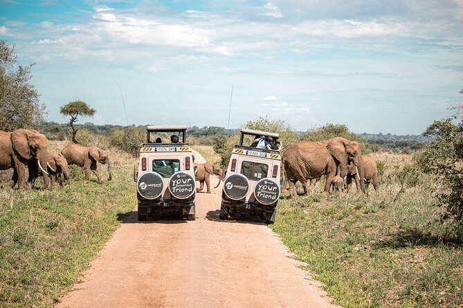 Tanzania Enticing Explorations - 6 Days - Day 3: The long road into Serengeti