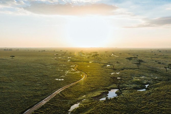 Tanzania Enticing Explorations - 6 Days - Day 4: A full morning in Serengeti, then Ngorongoro