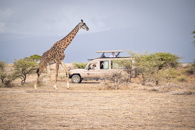 Tanzania Simba Safari - 5 Days - Day 2: The long road to Serengeti
