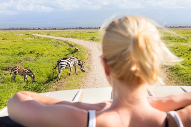 Tanzania Simba Safari - 5 Days - The guide can make or break the experience