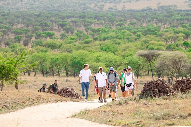 Tanzania Wildlife Encounters - 6 Days - Day four in Serengeti: the safari’s main event