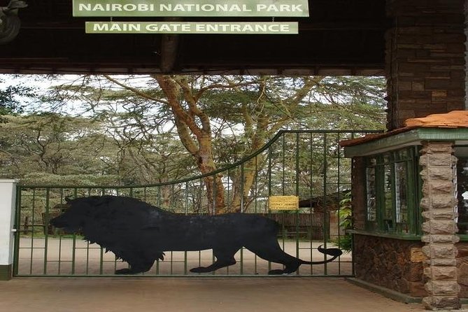 Tour: Giraffe Center and Nairobi National Park - What makes the urban park special