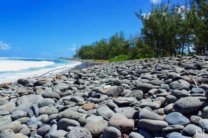 Tropical South West of Mauritius: Full-day All Inclusive tour (Visit to 3 parks) - Bois Chéri brings tea into the picture