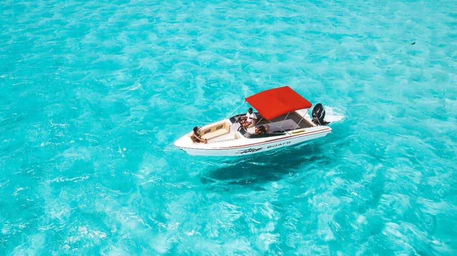 Trou d'Eau Douce: 5 Island Adventure with BBQ & Snorkeling - Fouquets Island and the chance of dolphins