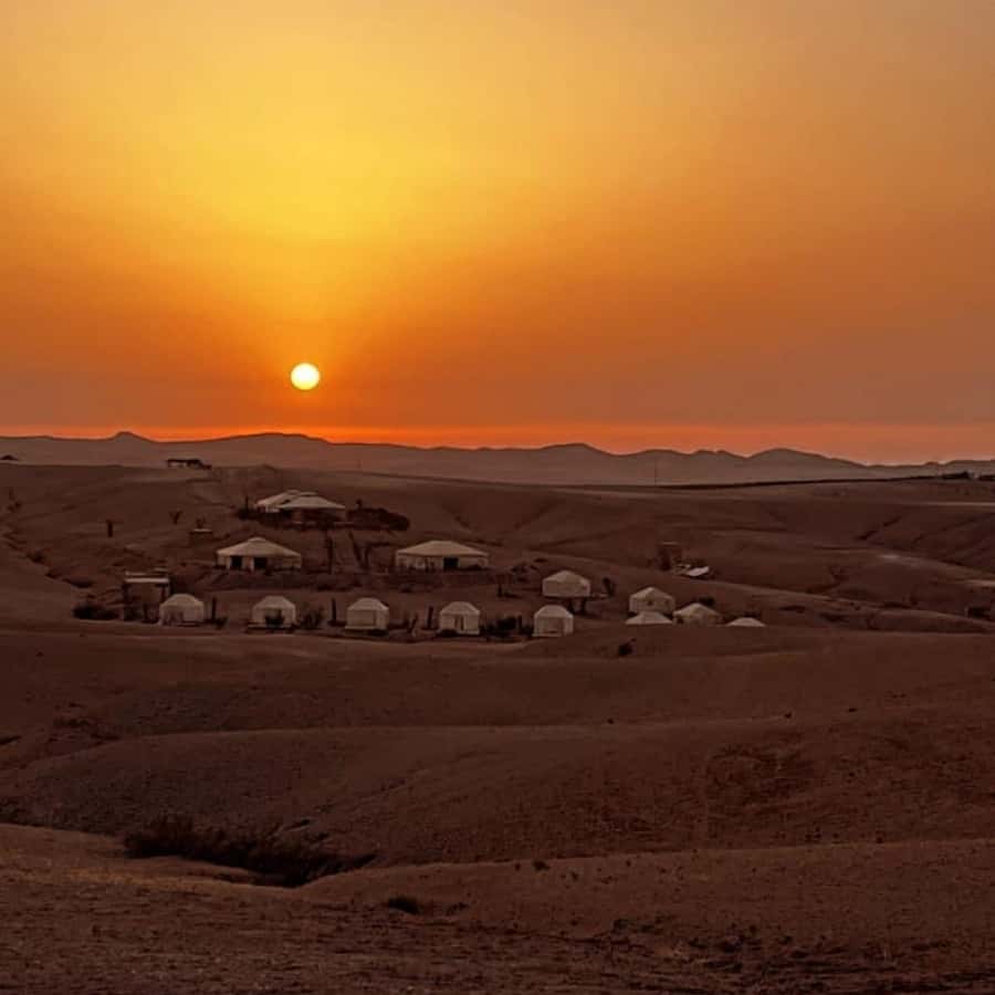 Unforgettable Desert Night: Dinner, Camel Ride & Quad Bike - Sleeping in a private haima