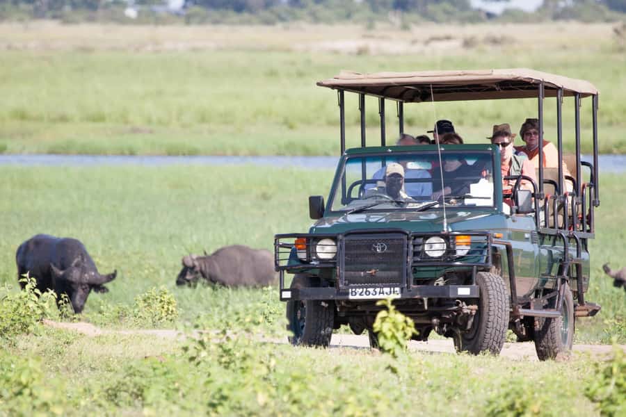 Victoria Falls: Chobe National Park Day Trip with Lunch - Chobe in one full day