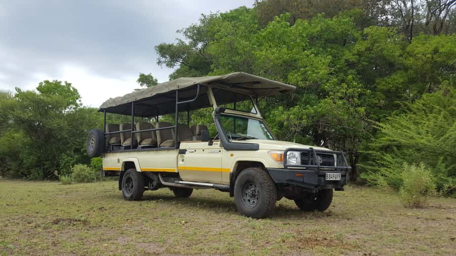 Victoria Falls: Chobe National Park Day Trip with Lunch - Is $170 good value?