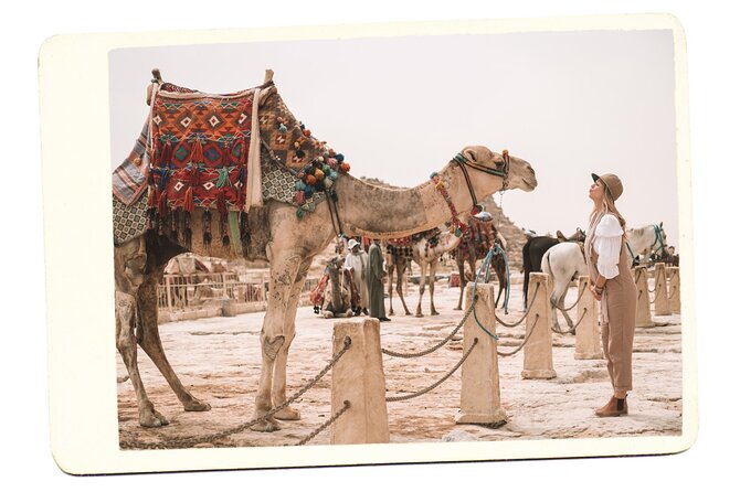VIP All inclusive Best of Giza Pyramids, Sphinx, Sakkara, Memphis - What the guides add to the day
