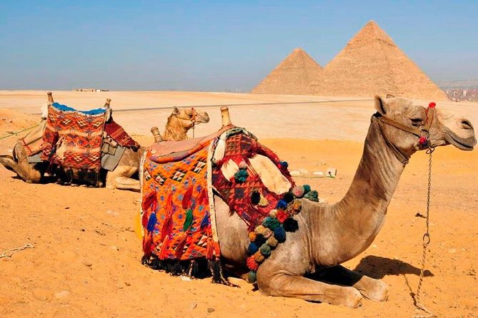 VIP All inclusive Best of Giza Pyramids, Sphinx, Sakkara, Memphis - Transport, timing, and comfort