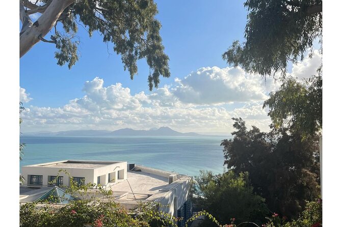 VIP Tour: Tunis Medina/Bardo, Sidi Bou Said, Carthage |PICKUP ALL - Sidi Bou Said: the prettiest hour and a half