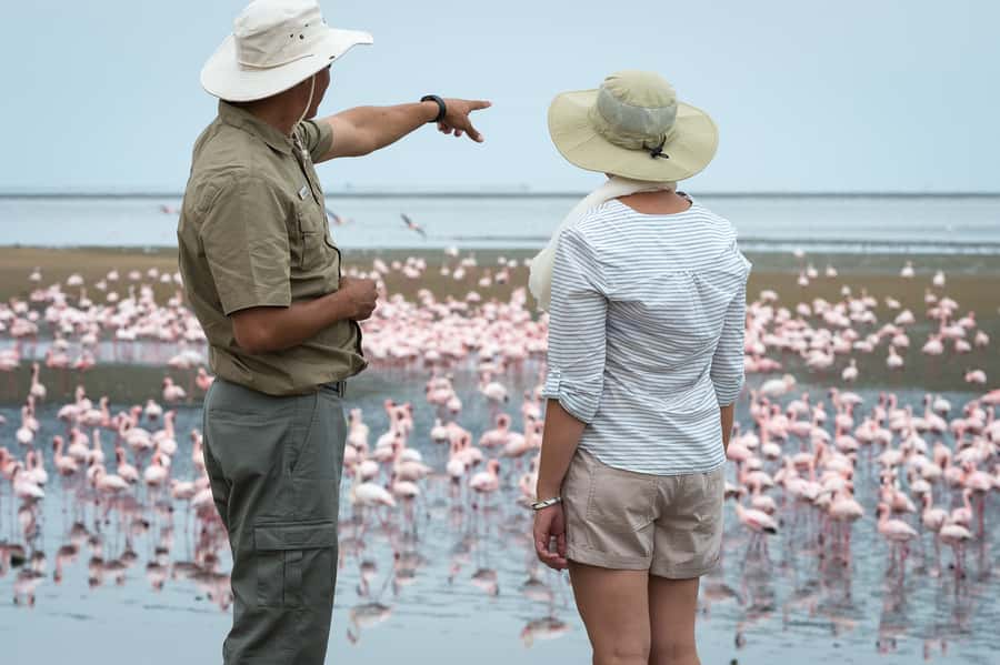 Walvis Bay: 4x4 Desert Excursion to Sandwich Harbour Bay - Across salt flats and the Kuiseb Delta