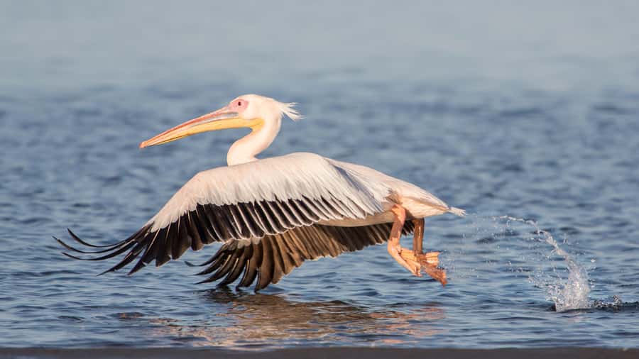 Walvis Bay and Sandwich Harbour Tour - The narrow passage and Sandwich Harbour views