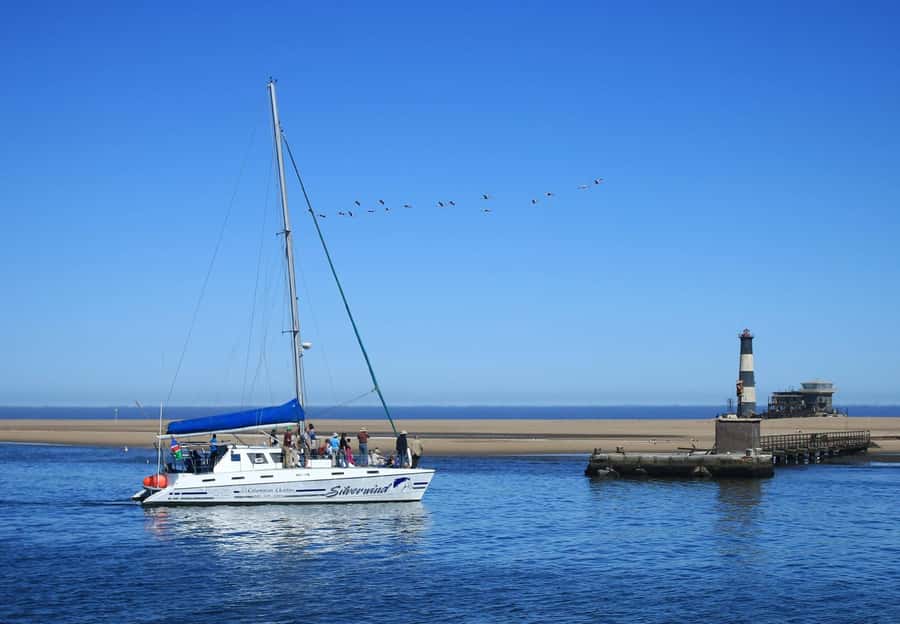 Walvis Bay: Marine Big 5 Luxury Catamaran Tour - What the catamaran route adds