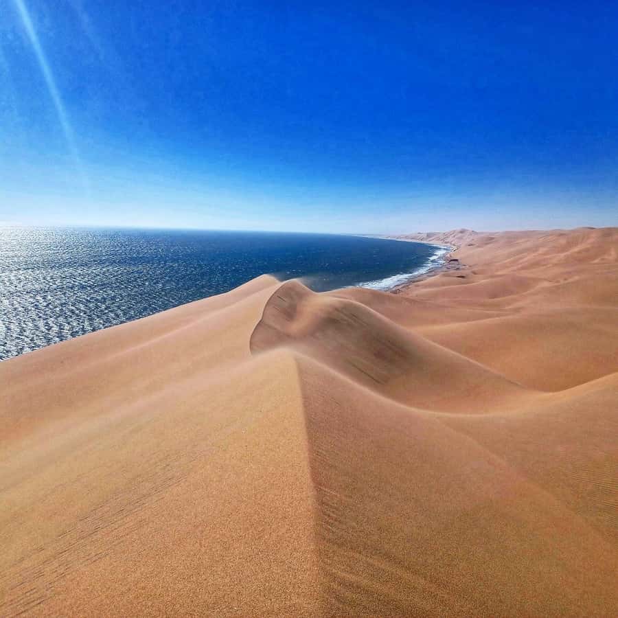 Walvis Bay: Sandwich Harbour Half-Day 4x4 Scenic Excursion - Wildlife is possible, not promised